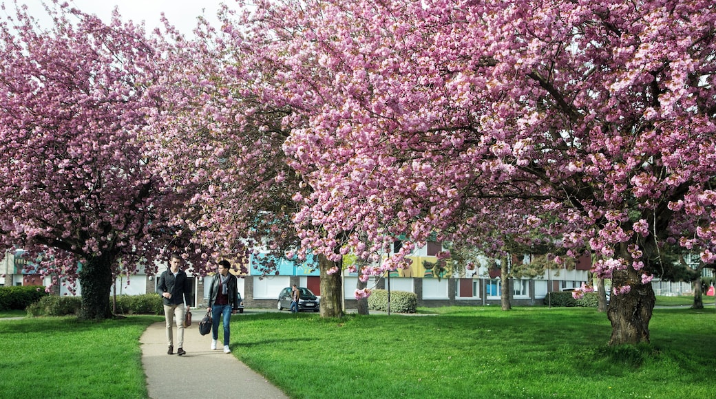 Le campus de l'Ecole polytechnique Crédit photographique : © École polytechnique - J.Barande