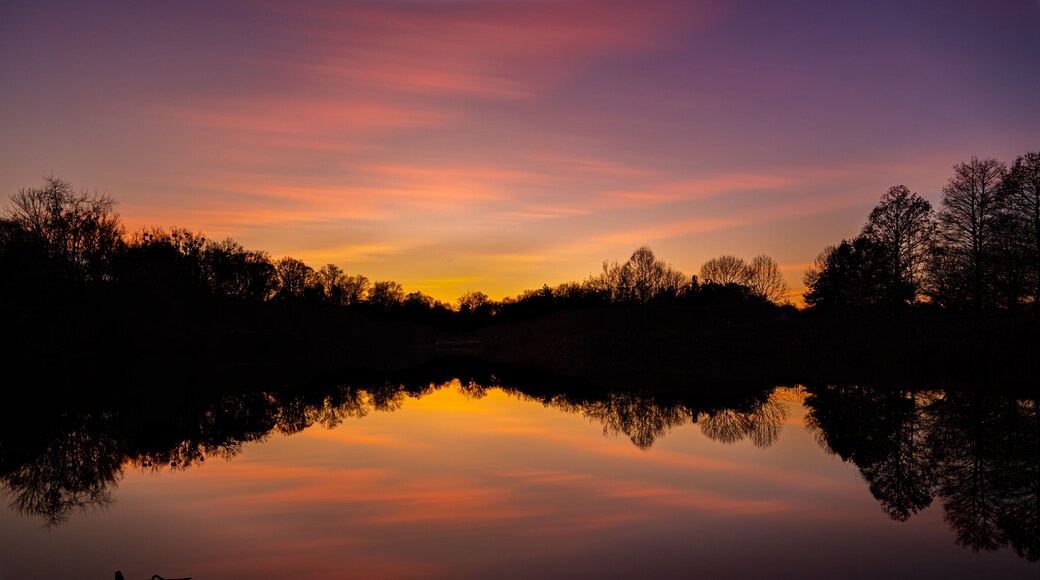 Gorgeous view of the Cherokee Lake at sunset with reflections of trees and the purple-pink sky