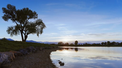 ๋ฃจ์ด๋น