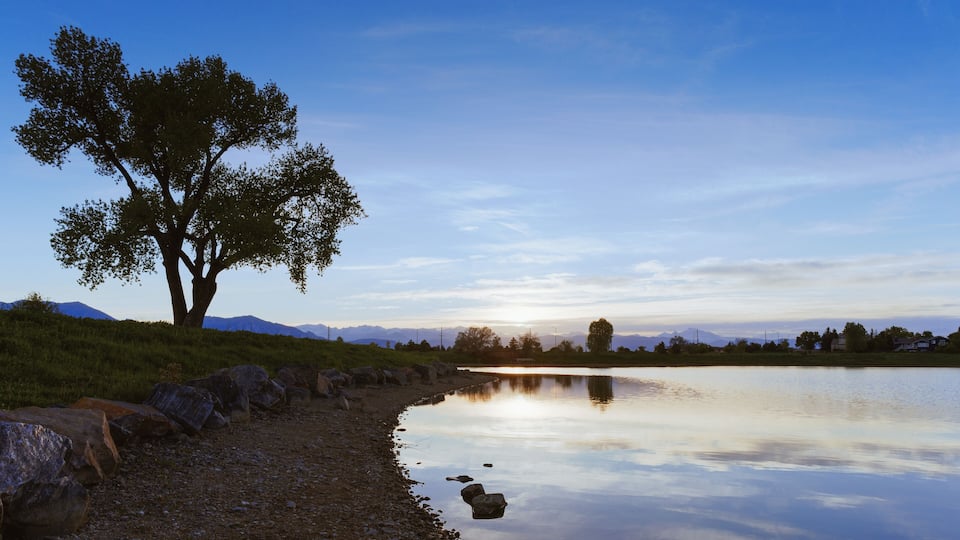 A calm lake with a rocky shoreline, a large tree, and mountains in the background.