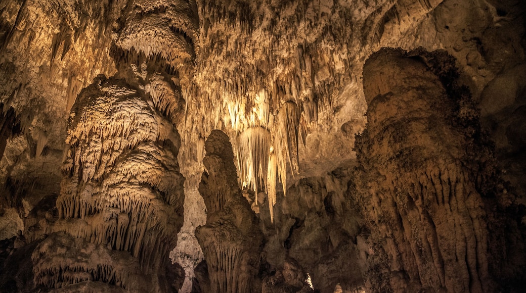Formations and Caves of Carlsbad Caverns, Carlsbad Caverns National Park, New Mexico