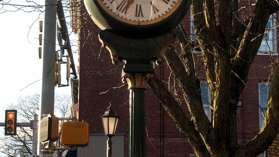 A clock on a post with a tree behind it.