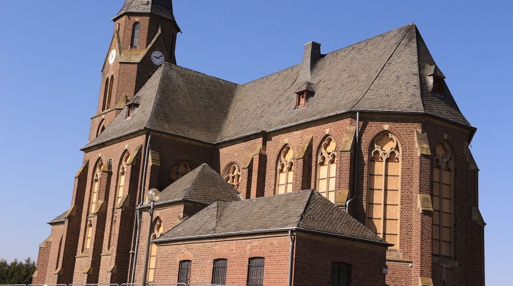 แมนไฮม์