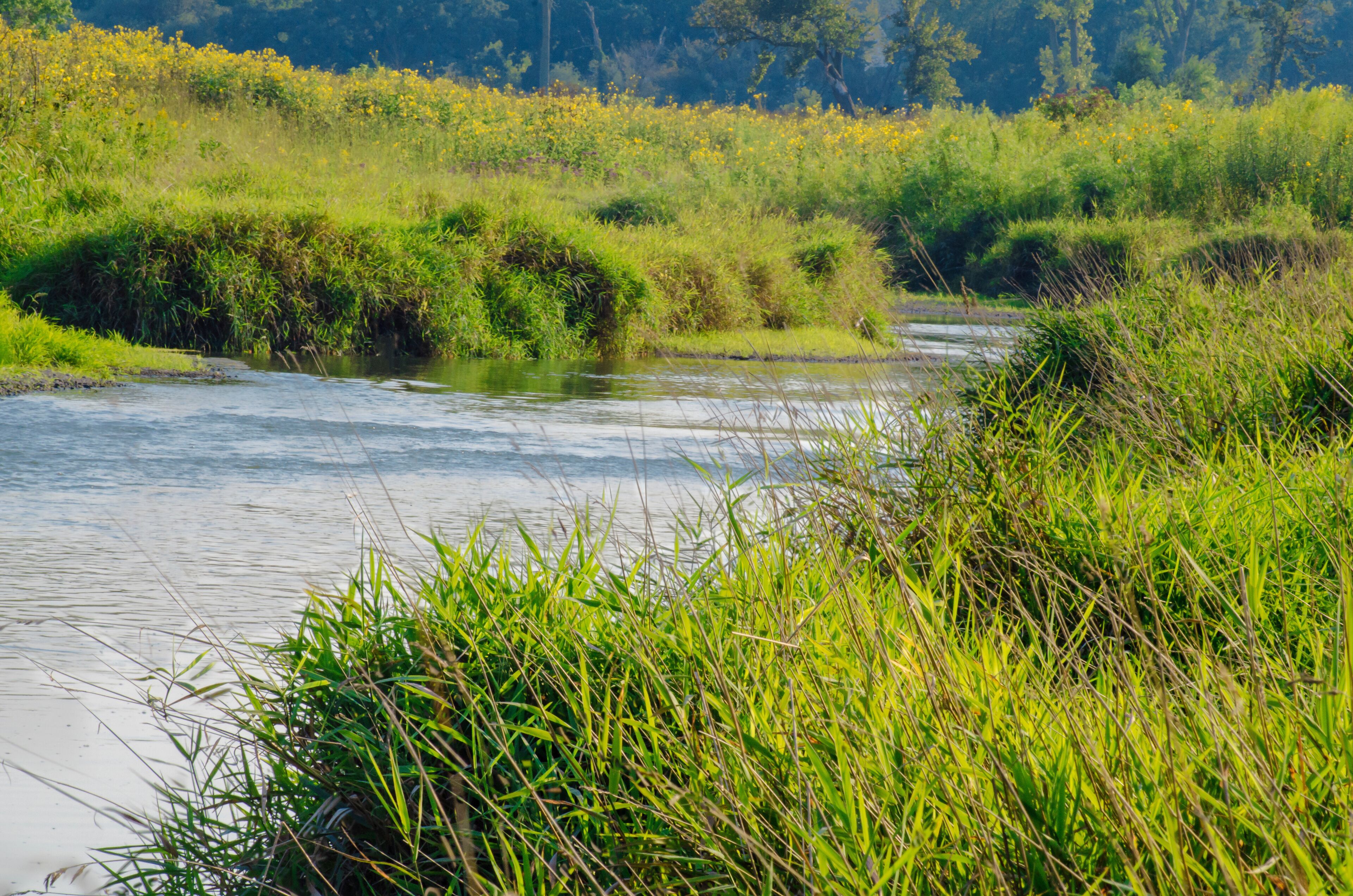 Owner, Hank Erdmann Photography