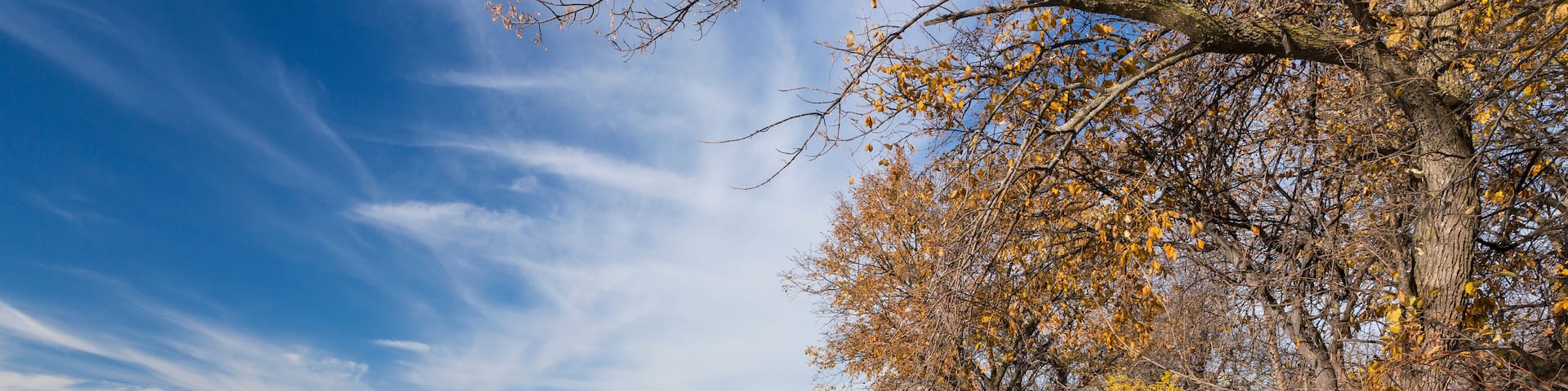 Big Stone Lake In Autumn