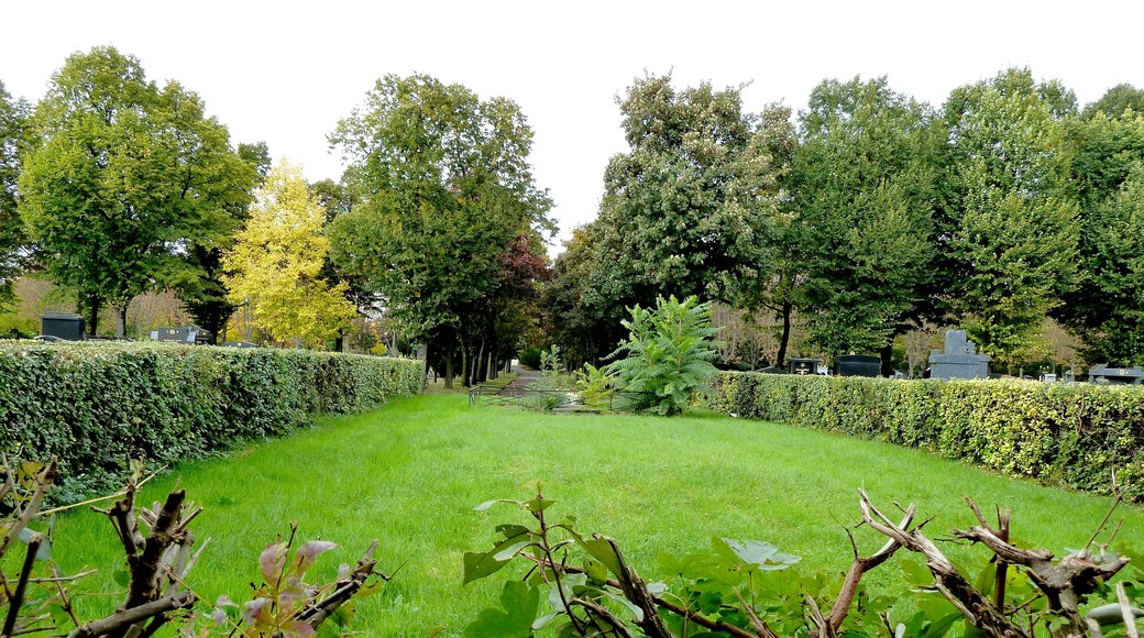 Pantin cimetiere parisien - Allée gazonnée entre les section 206 et 208, où se trouve l'ossuaire de la communaute juive.