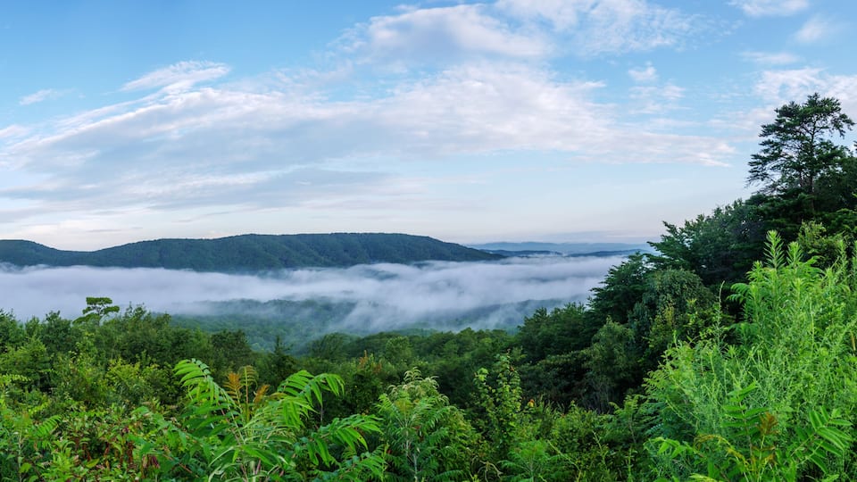 A lush green landscape with a person taking a photo, mountains in the distance, and a layer of clouds below.
