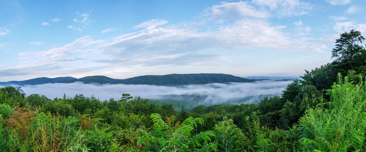 A lush green landscape with a person taking a photo, mountains in the distance, and a layer of clouds below.