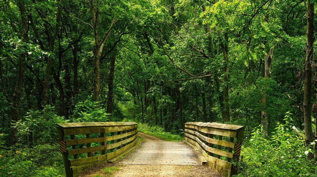 ماونت هوريب