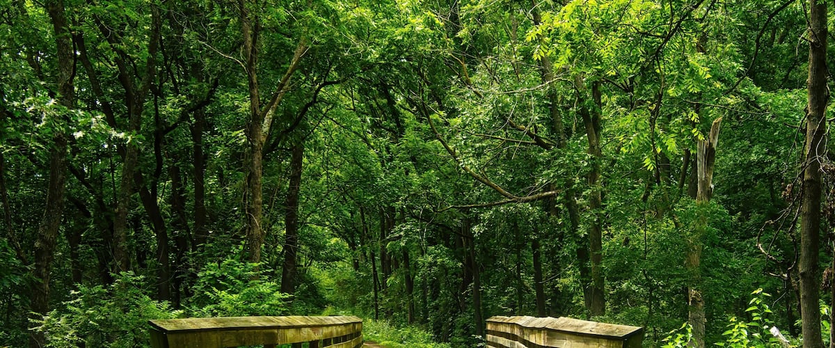 Summer landscape of a small wooden bridge in a lush green forest along the Military Ridge State Trail, near Mount Horeb, Wisconsin.