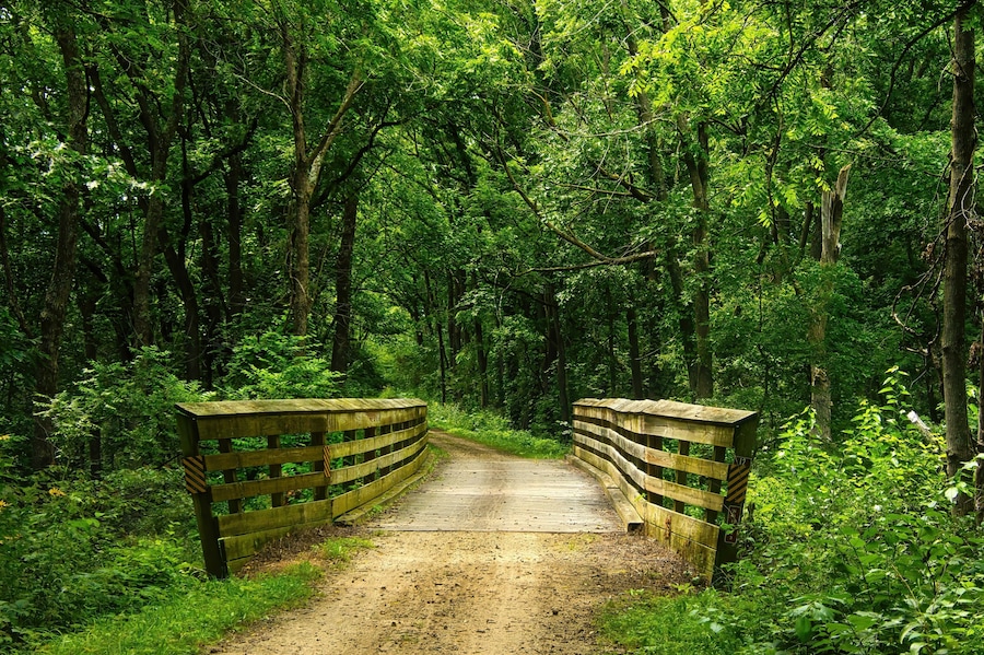 Summer landscape of a small wooden bridge in a lush green forest along the Military Ridge State Trail, near Mount Horeb, Wisconsin.