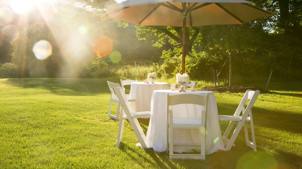 Kent, Connecticut, USA. Outdoor dining on a country lawn in summer.