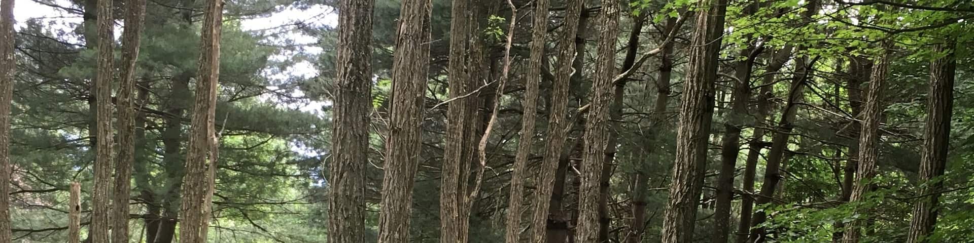 Stumbled upon this little retreat.