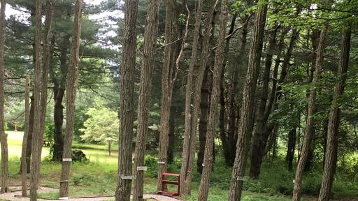 Stumbled upon this little retreat.