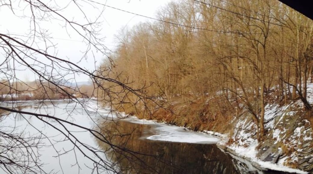 Cold winter day but nice to be outside.