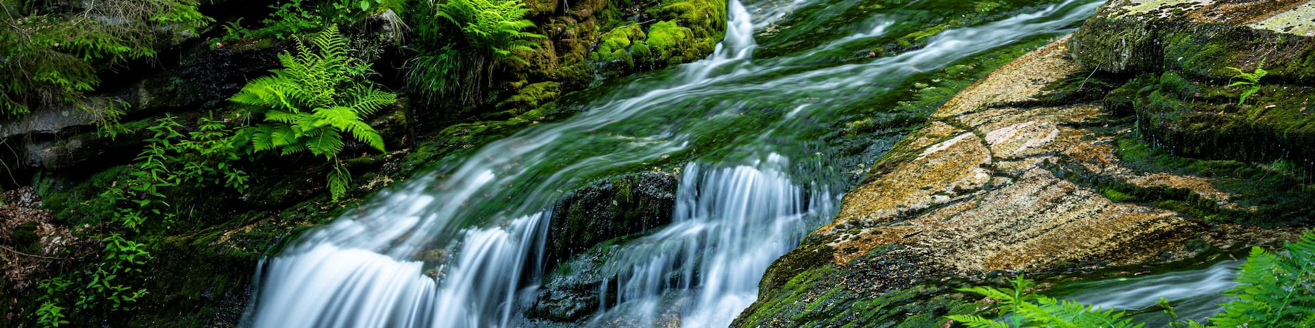 Wodospad Szklarki usytuowany jest na wysokości 520 m n.p.m. i ma 13,3 m wysokości.Widok na górną część wodospadu.Zlewnia Szklarki porośnięta jest górnoreglowymi lasami świerkowymi.