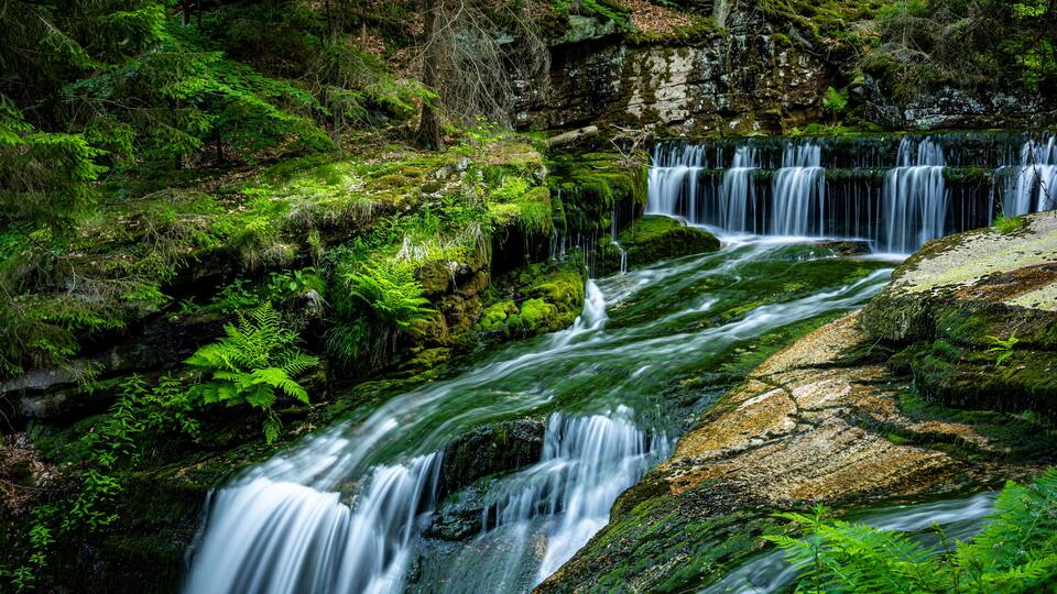 Wodospad Szklarki usytuowany jest na wysokości 520 m n.p.m. i ma 13,3 m wysokości.Widok na górną część wodospadu.Zlewnia Szklarki porośnięta jest górnoreglowymi lasami świerkowymi.