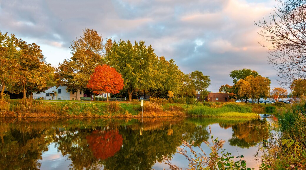 Prairie Lakes Park in Des Plaines Town of Illinois