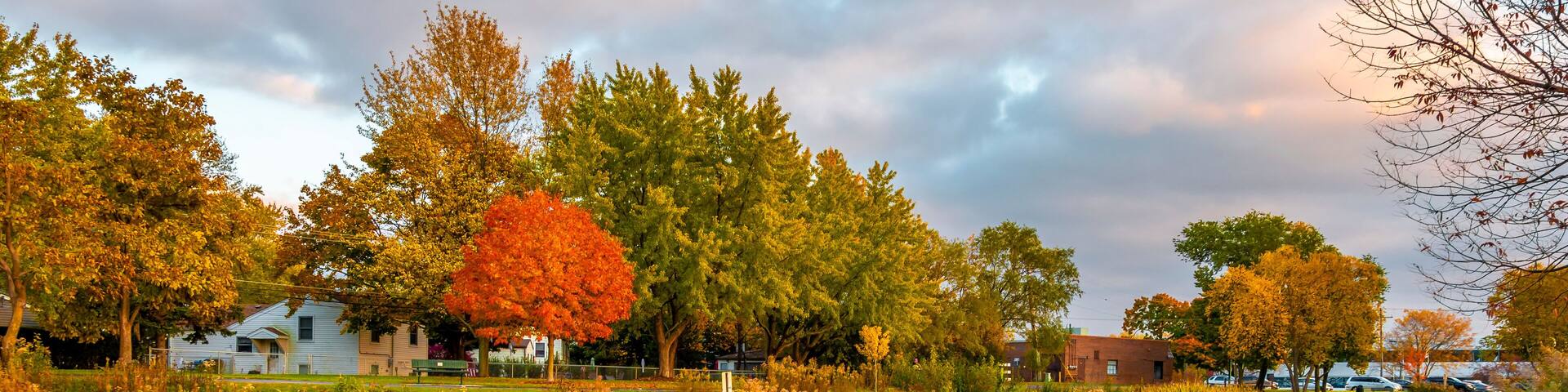 Prairie Lakes Park in Des Plaines Town of Illinois