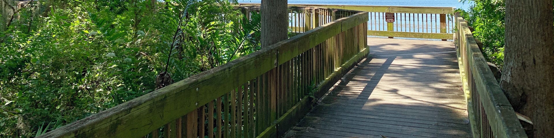 Hanging out at Tarpin Lake, Florida today...