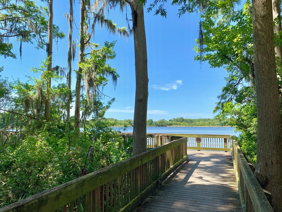 Hanging out at Tarpin Lake, Florida today...