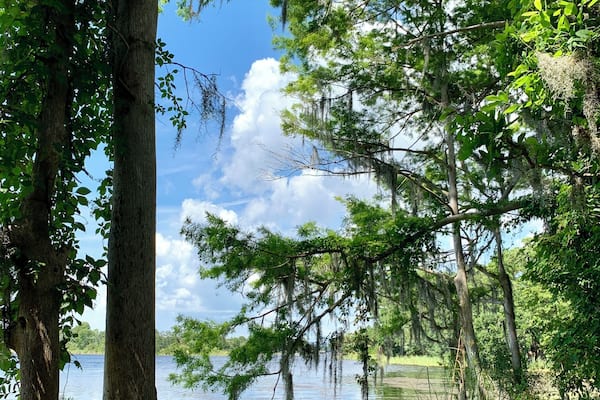 Hanging out at Lake Tarpin, Florida today...