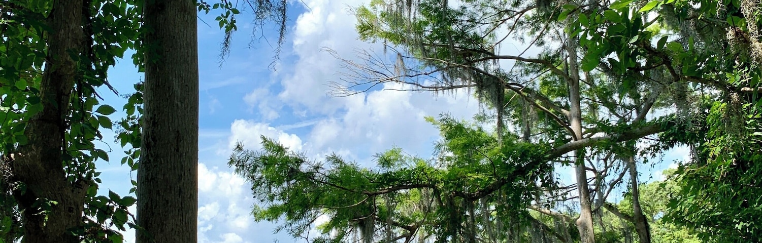 Hanging out at Lake Tarpin, Florida today...