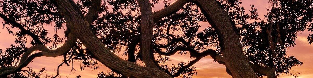 Have a seat here for one of the best sunset areas in Florida! ✌️📷💛🧡