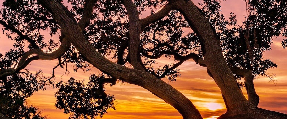 Have a seat here for one of the best sunset areas in Florida! ✌️📷💛🧡