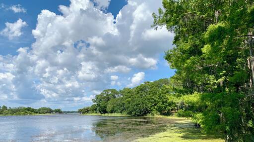 Hanging out at Lake Tarpin, Florida today...