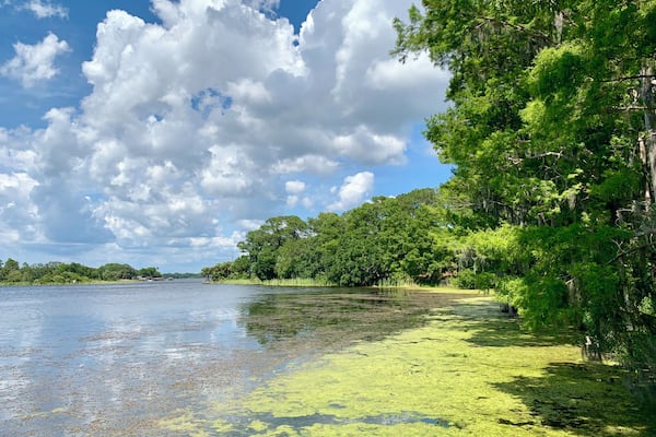 Hanging out at Lake Tarpin, Florida today...