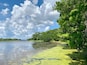 A lake surrounded by dense green trees and a clear sky with clouds.