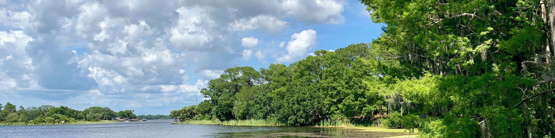 Hanging out at Lake Tarpin, Florida today...