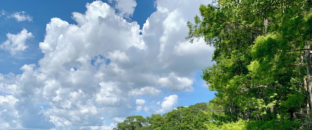 A lake surrounded by dense green trees and a clear sky with clouds.