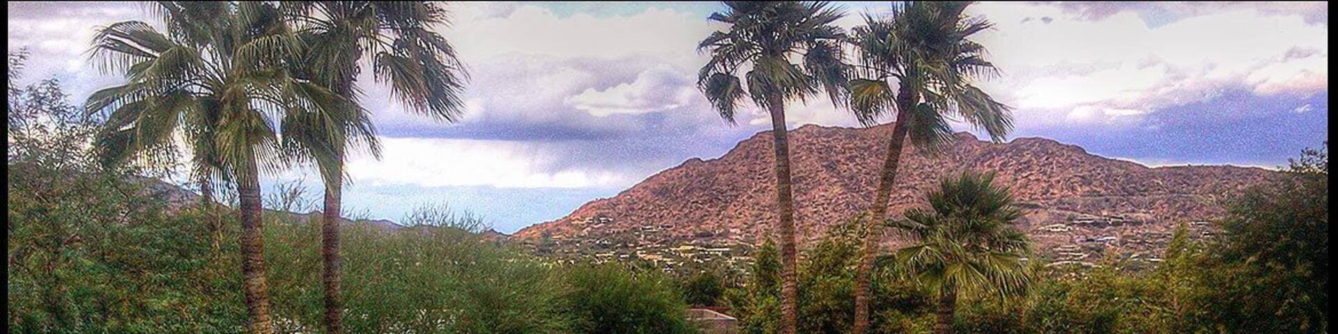 Swimming pool perfect for a refreshing dip in the dry desert air of Sonoran Desert.