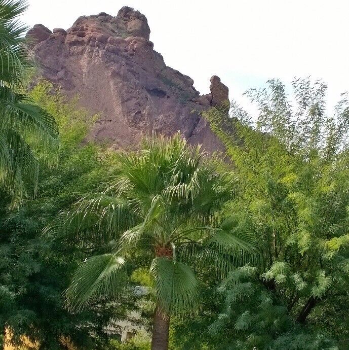 Camelback Mountain.