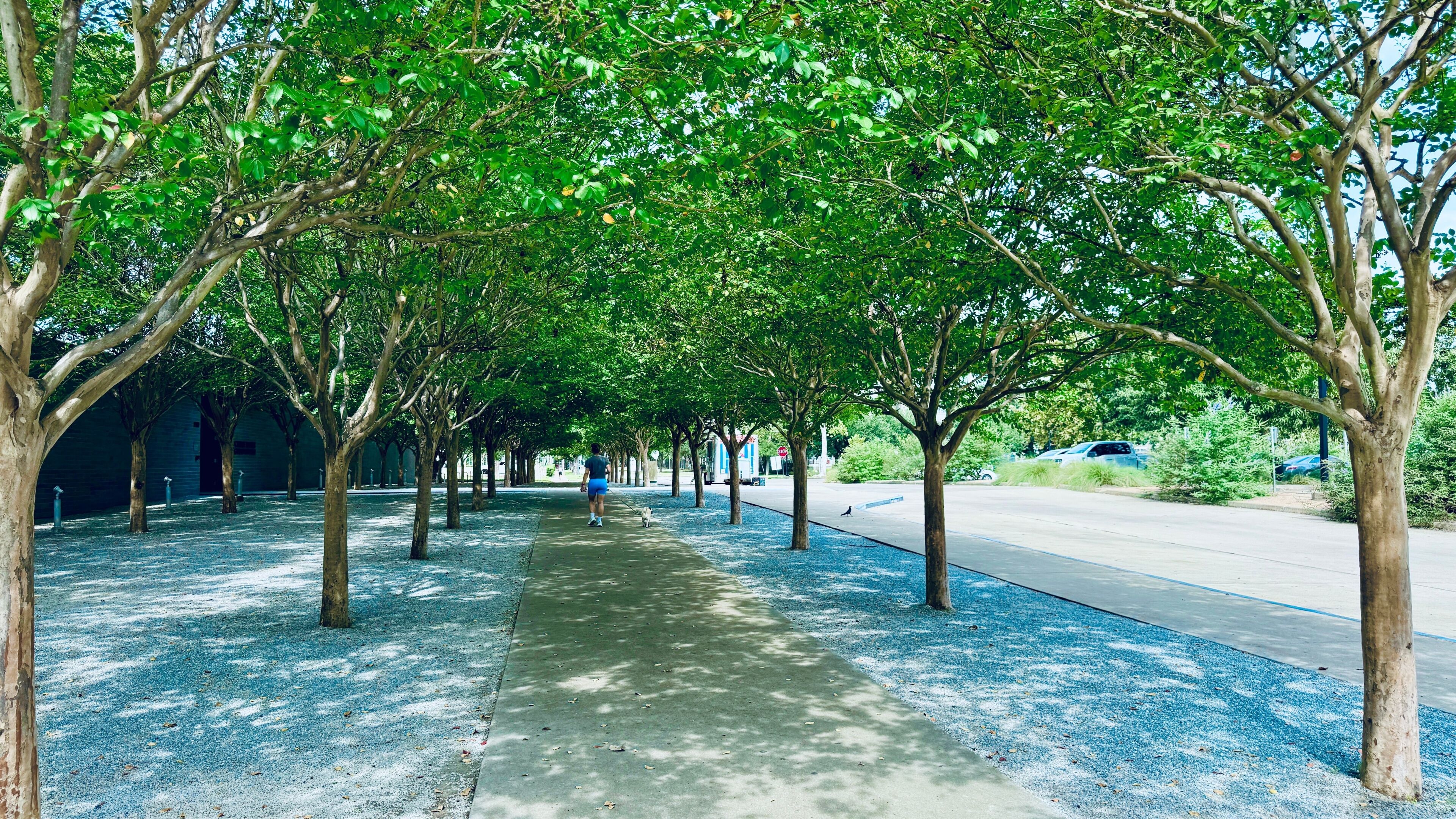 Hermann Park is a 445-acre urban park in Houston, Texas, situated at the southern end of the Museum District.	