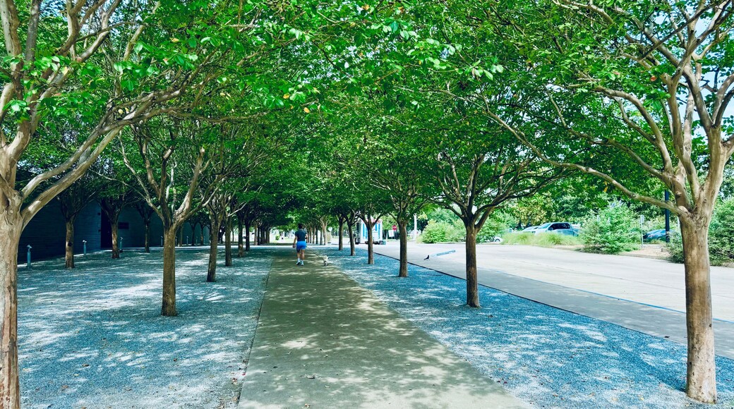 Hermann Park is a 445-acre urban park in Houston, Texas, situated at the southern end of the Museum District.