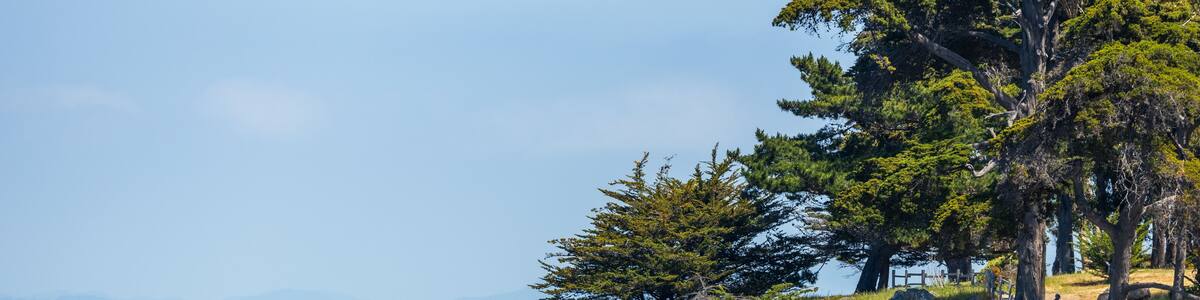Coyote Point Recreation Area in San Mateo County features a peaceful shoreline with trees, rocks, and people walking by the calm waters of the San Francisco Bay on a sunny day