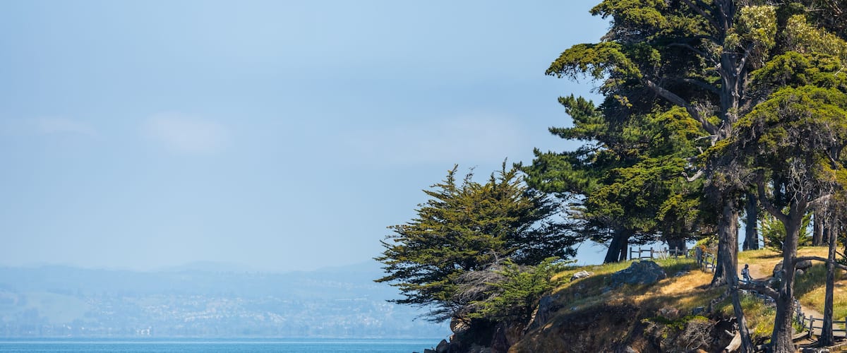 A beach with people walking along the shore, a rocky coastline, and trees in the background.