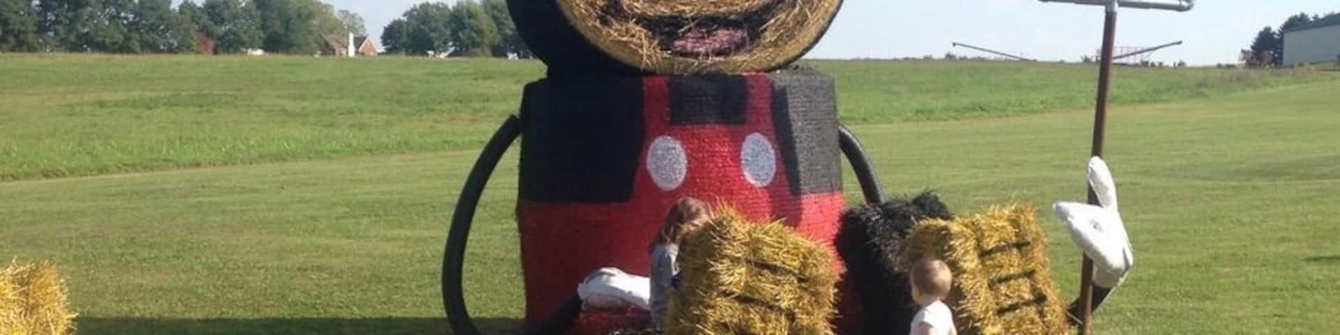 Farm near Youngstown , Ohio