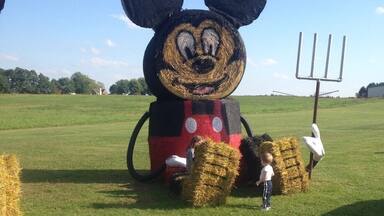 Farm near Youngstown , Ohio