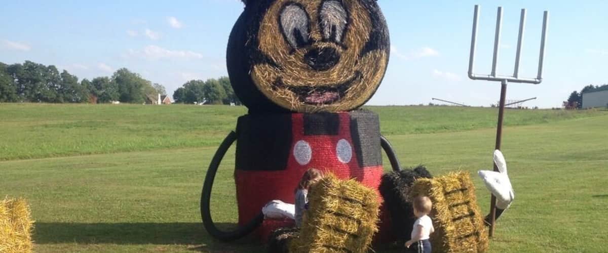 Farm near Youngstown , Ohio