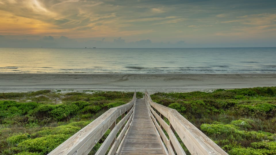 A wooden boardwalk leading to a beach with green vegetation.