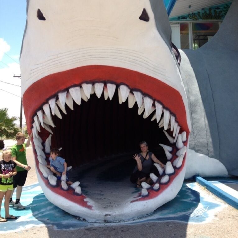 This surf shop has a huge shark out front that kids love to play in and grown-ups love to use for photo ops. 
