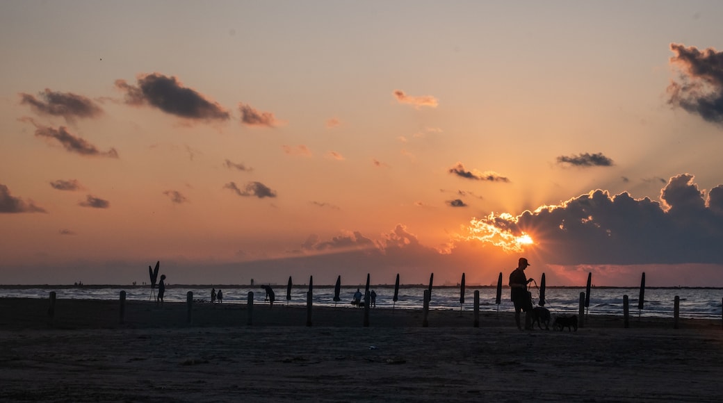 Port Aransas, Texas, Island destination on the Texas Gulf Coast, Gulf of Mexico, for Texans all year long. It has something for everyone, especially birders and beachgoers.