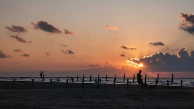 Port Aransas, Texas, Island destination on the Texas Gulf Coast, Gulf of Mexico, for Texans all year long. It has something for everyone, especially birders and beachgoers.