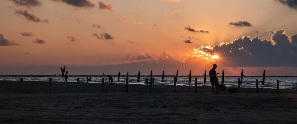 A sunset over a beach with a fence and silhouettes of people and dogs.