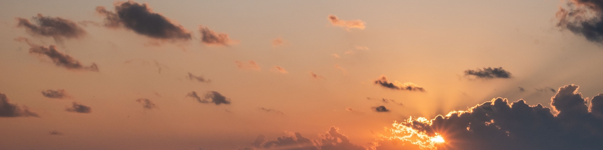 A sunset over a beach with a fence and silhouettes of people and dogs.