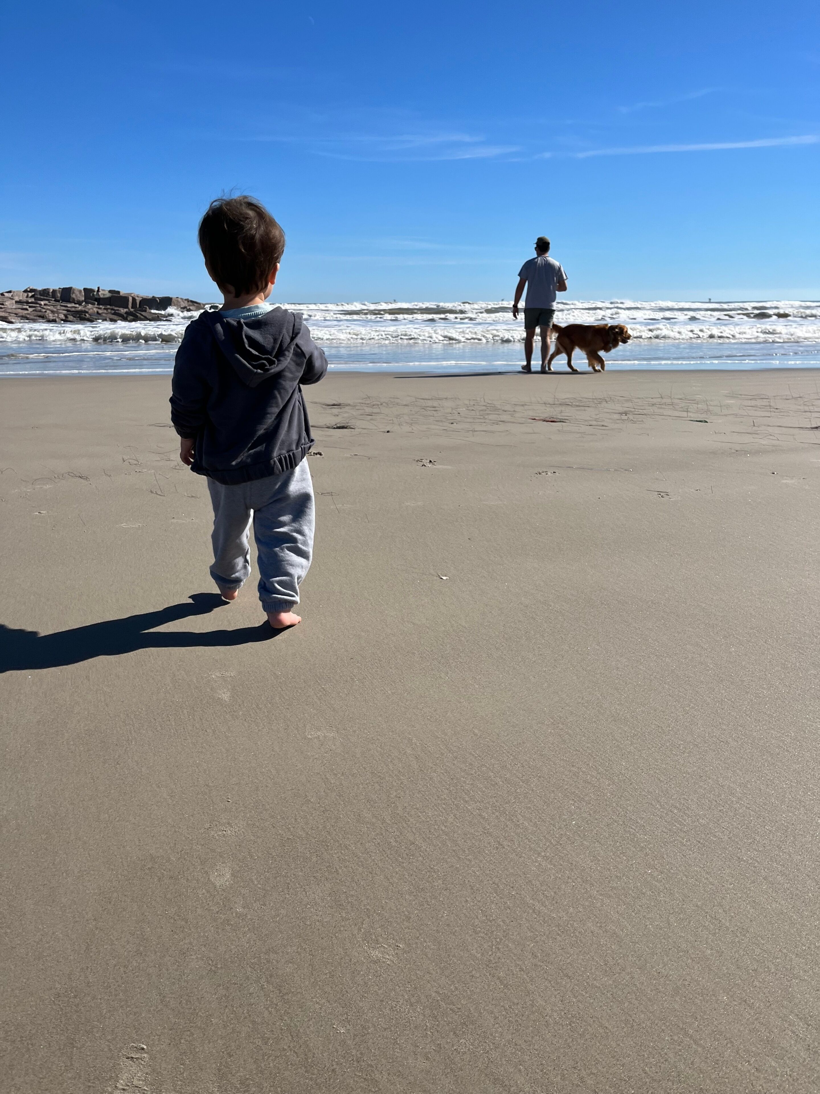 Fish Pass - Corpus Christi Texas